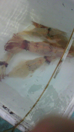 2010050413150000.jpg