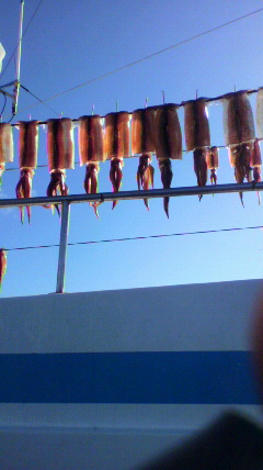 2010080407400000.jpg