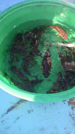 2010082406500000.jpg