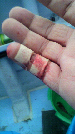 2010101407030000.jpg