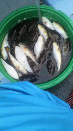 2010101409460000.jpg