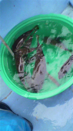 2010110407350000.jpg