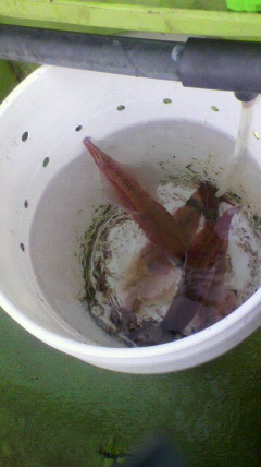 2011012412260000.jpg