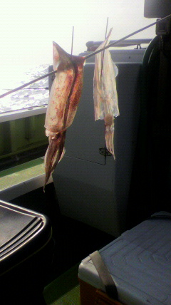 2011012409440000.jpg